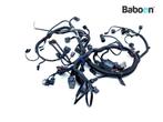 Kabelboom Triumph Tiger 800 XC 2011-2014 (T2508011/1), Verzenden, Gebruikt