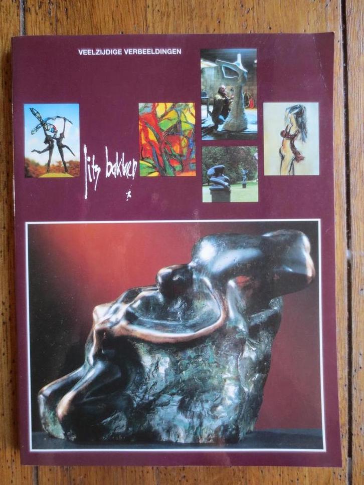 Jits Bakker 9789080367111 R. de Cnodder, Boeken, Kunst en Cultuur | Beeldend, Gelezen, Verzenden