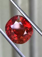 1 pcs Rood, Oranje Granaat - 7.91 ct - Gemological Institute, Nieuw
