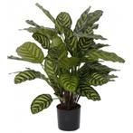 Kunst Calathea 67 cm - Overige kunstplanten, Huis en Inrichting, Kamerplanten, Ophalen of Verzenden