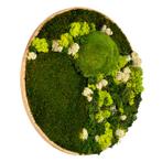 Vintlux Mosschilderij Rond 40 cm Ongelakt Eiken - Floro, Nieuw