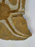Echinoderm - Gefossiliseerd dier - 16 cm (Zonder