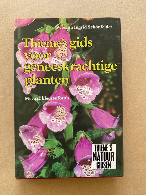 Thiemes gids voor geneeskrachtige planten - in nieuwstaat, Boeken, Gezondheid, Dieet en Voeding, Zo goed als nieuw, Kruiden en Alternatief