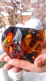 Baltisch amber - honingkleurige steen - cognackleurige steen