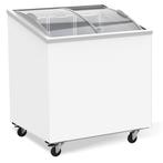 Vrieskist Met Glasdeksel 198L -18/-24°c | 767x659x879mm, Witgoed en Apparatuur, Koelkasten en IJskasten, Ophalen of Verzenden