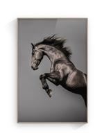 Jorge Omeñaca - Horse attack bronze