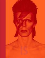 Boek David Bowie IS, Zo goed als nieuw, Verzenden