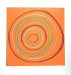 Denise Duplock - Ozone - Screenprint / Siebdruck -