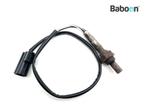 Lambda Sonde Triumph Sprint RS 955i 1999-2004, Verzenden, Gebruikt