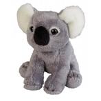 Pluche koala beer dieren knuffel 15 cm - Knuffel koala, Kinderen en Baby's, Nieuw, Verzenden