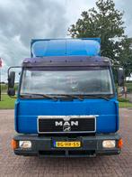 Degelijke MAN 5-paards paardenvrachtwagen!, Ophalen, Zo goed als nieuw, Polyester, Overige typen