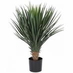 Kunst Yucca Rostrata palmlelie 80 cm - Overige kunstplanten, Ophalen of Verzenden