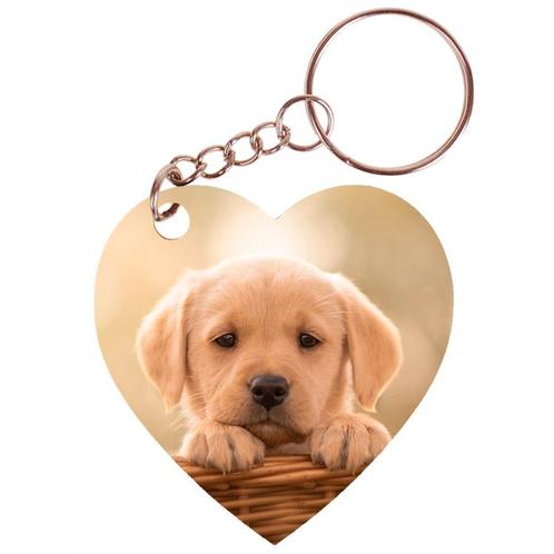 Sleutelhanger hartje 5x5cm - Golden Retreiver Pup in Mand NI, Verzamelen, Sleutelhangers, Nieuw, Ophalen of Verzenden