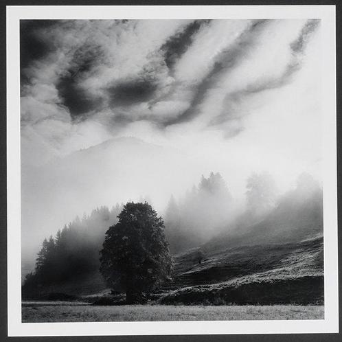 Frank Machalowski - Steiermark, Antiek en Kunst, Kunst | Designobjecten