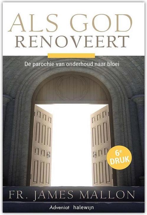 Als God renoveert 9789492093776 James Mallon, Boeken, Godsdienst en Theologie, Zo goed als nieuw, Verzenden