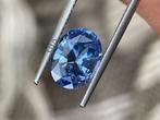 1 pcs Blauw Saffier - 3.13 ct - Gemological Institute of, Sieraden, Tassen en Uiterlijk, Edelstenen, Nieuw