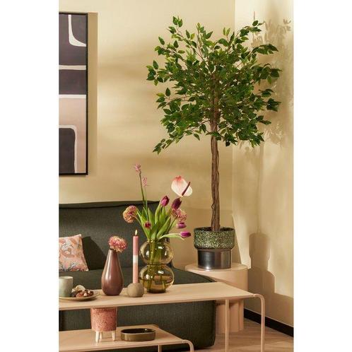 Ficus Kunstplant in Bloempot H150 x Ø50 cm Groen, Huis en Inrichting, Woonaccessoires | Kunstplanten en Kunstbloemen, Nieuw, Binnen