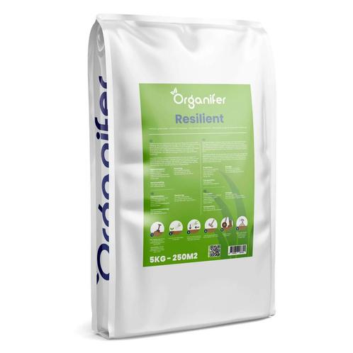 Speelgazon Graszaad – Resilient (5 kg voor 250 m2), Tuin en Terras, Bloembollen en Zaden, Zaad, Gehele jaar, Volle zon, Verzenden