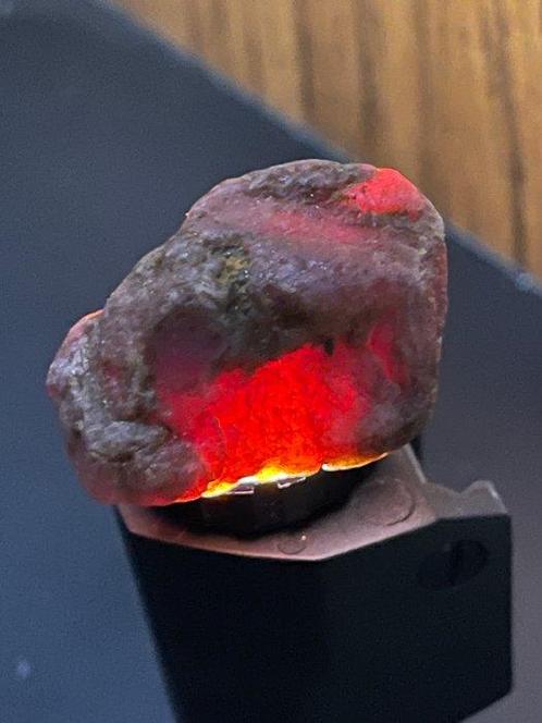 Robijn Ruw. Geweldig Mozambique Huge Ruby Crystal. “Gratis, Verzamelen, Mineralen en Fossielen