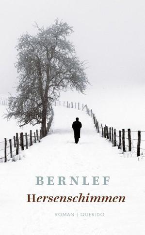 Hersenschimmen |  NIEUW | Bernlef | 9789021440132, Boeken, Literatuur, Nieuw, Ophalen of Verzenden