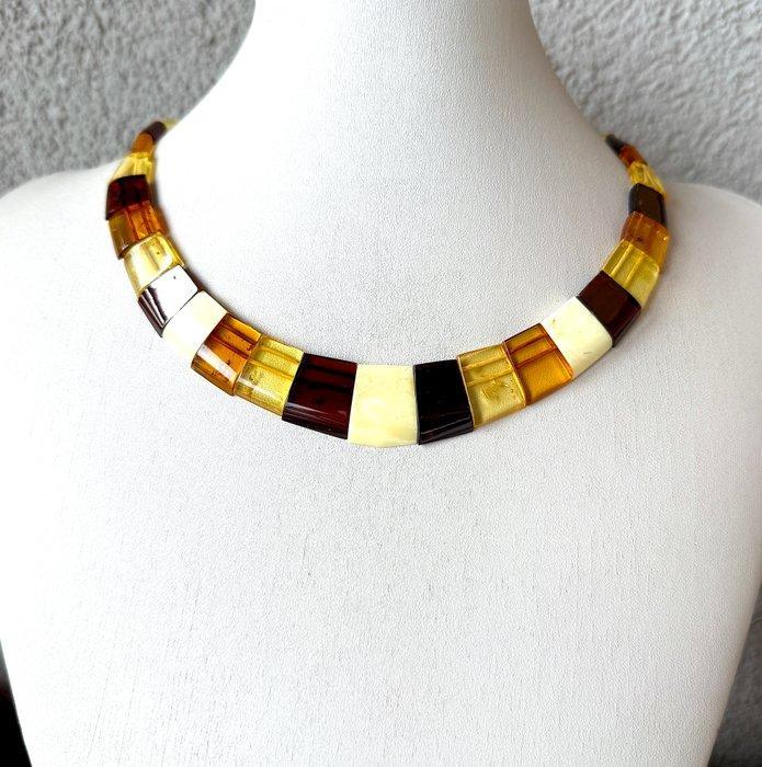 Natuurlijk Baltisch amber halsband breed ketting - Barnsteen, Verzamelen, Dierenverzamelingen