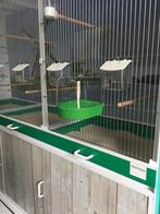 Badhuis groot met groene onderkant - Badschalen    -, Verzenden, Nieuw