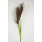 Pampas gras 80cm met blad bruin - Buitengewoon de Boet, Nieuw, Verzenden