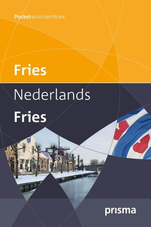 Fries 9789049104368, Boeken, Wetenschap, Zo goed als nieuw, Verzenden