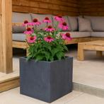 Plantenbak Fiberclay 50x50x50 cm Antraciet, Verzenden, Nieuw, Vierkant