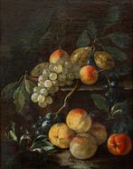 Giovan Battista Ruoppolo (1626-1693), Ambito di - Natura, Antiek en Kunst