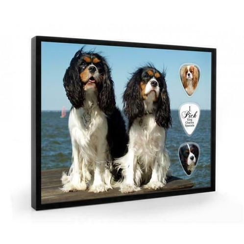 Cavalier King Charles Spaniel hond plectrumdisplay, Verzamelen, Dierenverzamelingen, Overige typen, Nieuw, Hond of Kat, Ophalen of Verzenden