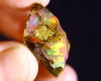 MUSEUMKWALITEIT - Ruwe kristal Welo-opaal Transparante, Verzamelen, Mineralen en Fossielen