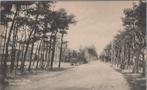 DEN DOLDER - Doldersche Weg, Verzenden, Gelopen