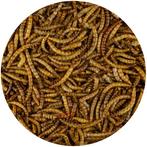 Junai.nl Meelwormen 400 gram, Dieren en Toebehoren, Pluimvee | Toebehoren, Ophalen of Verzenden, Nieuw