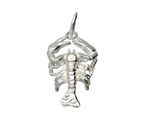 Zilveren Sterrenbeeld Kreeft ketting hanger - groot, Sieraden, Tassen en Uiterlijk, Kettinghangers, Verzenden