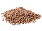 Hemp - 2,5kg, Verzenden, Nieuw, Overige typen