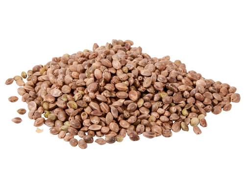 Hemp - 2,5kg, Watersport en Boten, Hengelsport | Algemeen, Overige typen, Nieuw, Verzenden