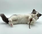Naaldvilt-pakket kat met gratis naaldhouder!