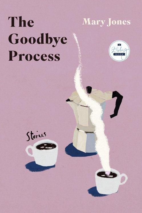 9781958506622 The Goodbye Process Mary Jones, Boeken, Romans, Nieuw, Verzenden