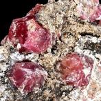 Zeldzame kersroze Grossular Van Mexico - een soort granaat, Verzamelen