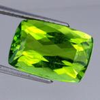 1 pcs Geel, Groen Paraiba toermalijn - 13.75 ct -, Nieuw