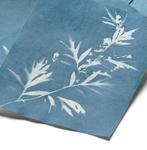 Solar cyanotype fotopapier 10 vel 28x21,5cm, Verzenden, Nieuw