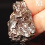 Campo del Cielo meteoriet – ijzer-nikkel met