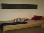 Kamer Bredalaan in Eindhoven, Overige soorten, Noord-Brabant