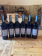 2021 Castiglion Del Bosco, LAmerica Rosso di Montalcino -, Verzamelen, Nieuw