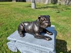 Beeld, English Bulldog 25cm - 0 cm - IJzer, Antiek en Kunst