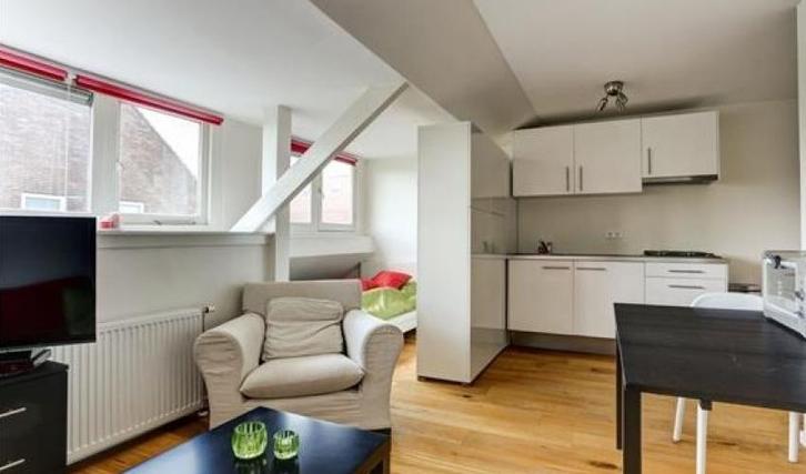 Te Huur Studio Theresiastraat In Den Haag, Huizen en Kamers, Kamers te huur, 20 tot 35 m², Den Haag