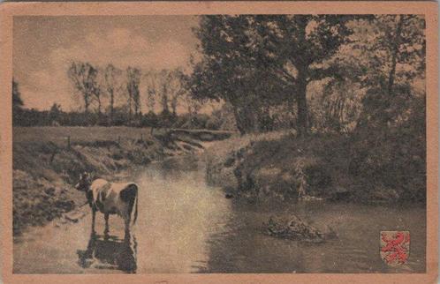 LUTTERZAND - De Dinkel, Verzamelen, Ansichtkaarten | Nederland, Verzenden