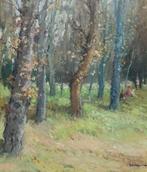 Joan Raimon Palaujuncà (1968) - Entre los árboles