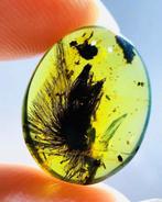 Amber - Barnsteen - Dandelion preserved in Burmese amber -, Verzamelen, Mineralen en Fossielen